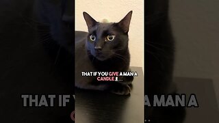 You gotta think ahead🧐 #cat #blackcat #leonthecatdad #darkhumour #darkhumor #sarcasm