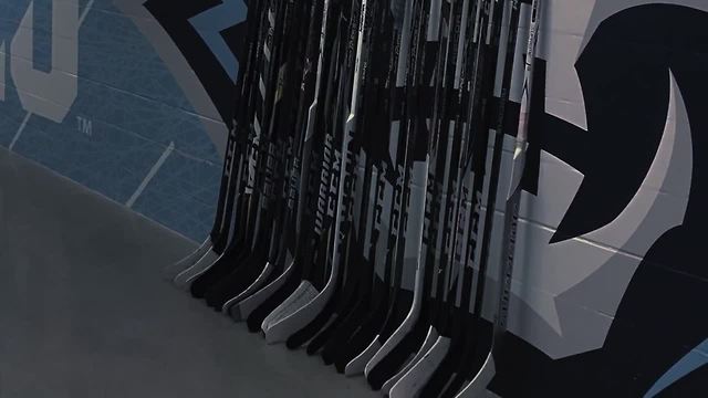 Milwaukee Admirals support Humboldt Broncos after tragic accident