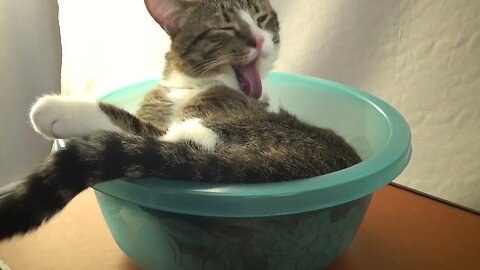 Washing in a Basin Is Much More Comfortable