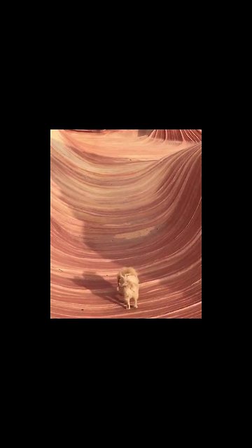 What A Crazy Unique Spot In Arizona!!