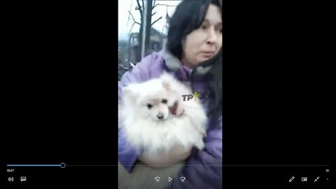 The Aftermath Of The Destruction Of Ukraine.