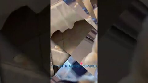 A Crazy Dog
