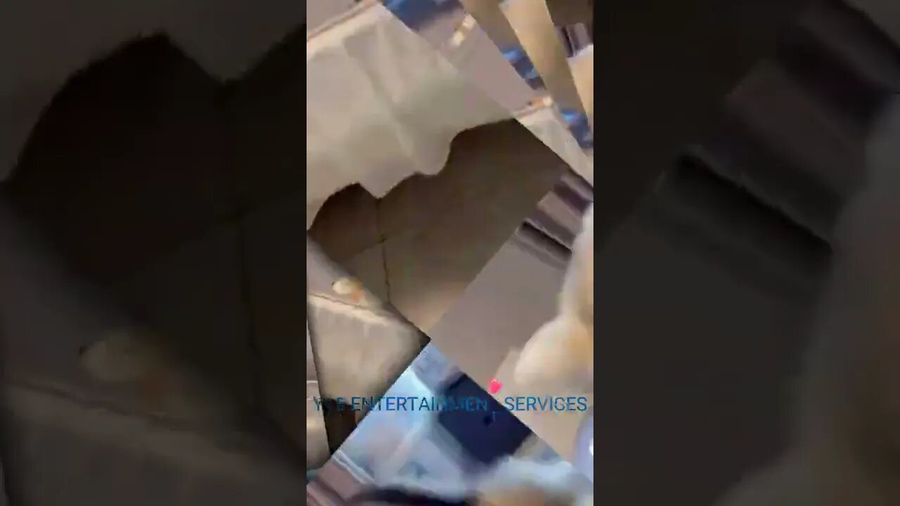 A Crazy Dog