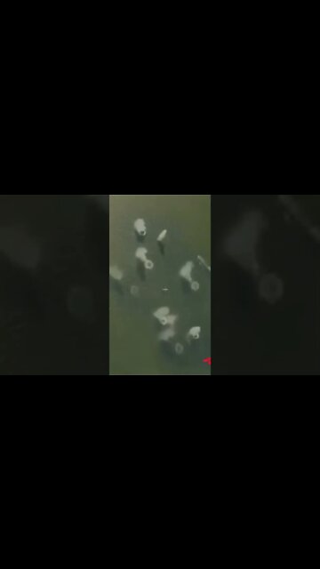 #war #russia #weapon #russian