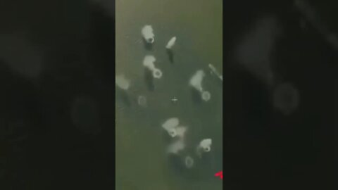 #war #russia #weapon #russian