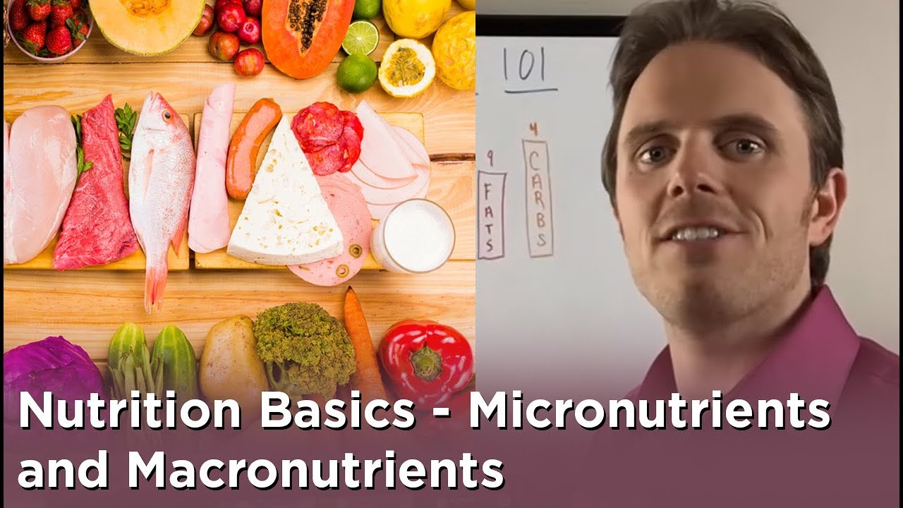 Nutrition Basics - Micronutrients and Macronutrients