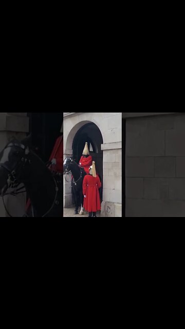 The hair is over his face #horseguardsparade