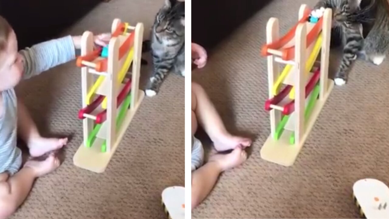 Good Cat Plays with Baby Whilst Mama Was Away