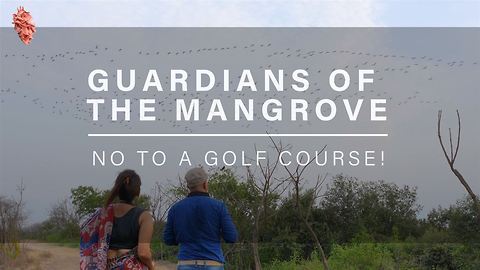 Guardians of the Mangrove