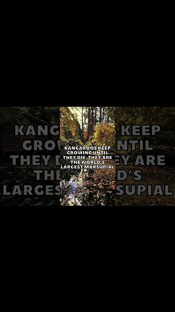 Incredible Random Facts That Will Expand Your Mind! [2023] #shorts #facts #viralshorts #fyp #life