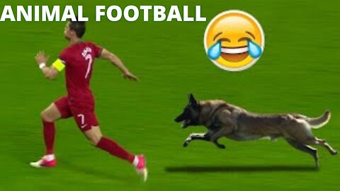 ANIMAL FOOTBALL ( JHON X BLACK )