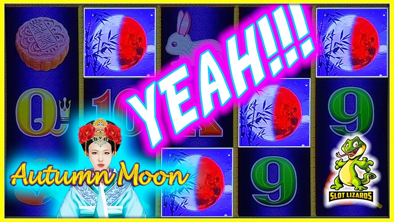 EPIC COMEBACK HUGE WIN!!! WILD RIDE! Dragon Link Autumn Moon Slot