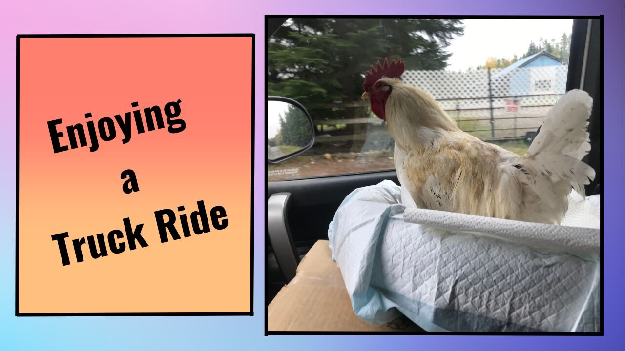 Truck Ride!