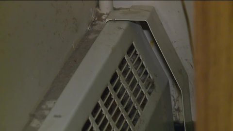 CMHA resident say mice infestation almost ruined her kid’s Christmas