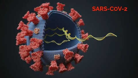 PCR test - how it works?