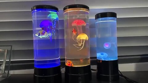 Decorative LED Night Light Aquarium Shape Remote Control