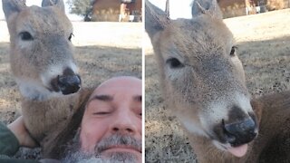 Farmer hangs out with his deer best friend