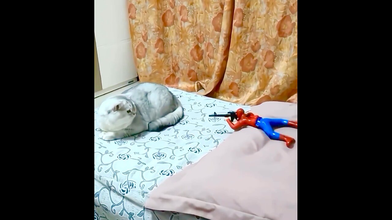 Personal Slap