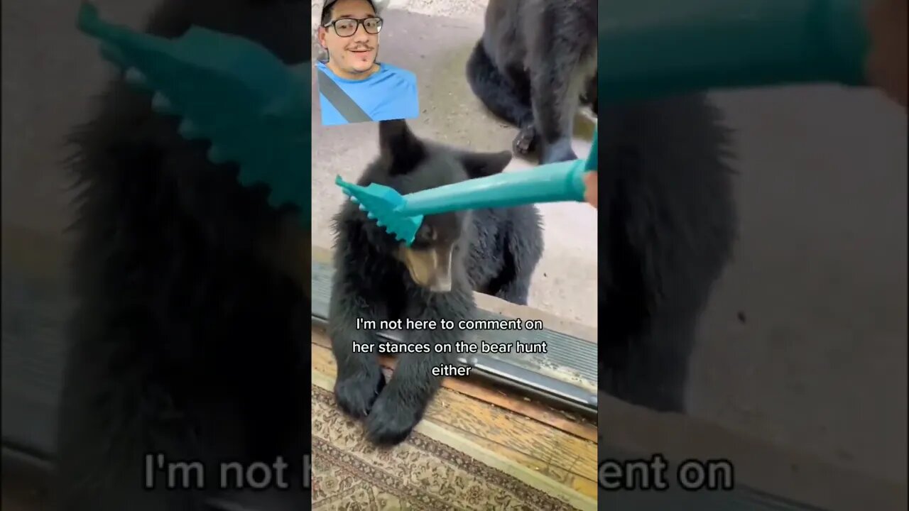 Don't mess with bears, it never ends well