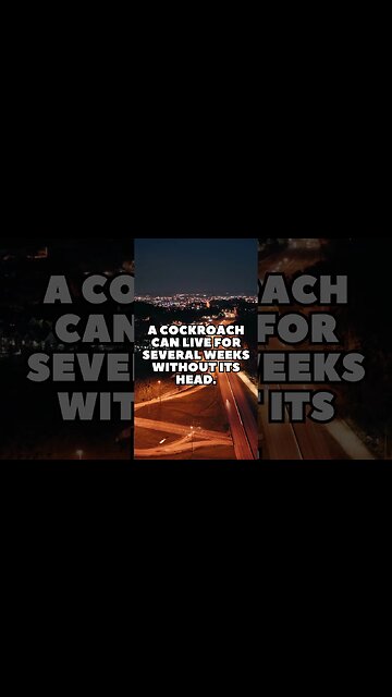 Incredible Random Facts That Will Expand Your Mind! [2023] #shorts #facts #viralshorts #fyp #life