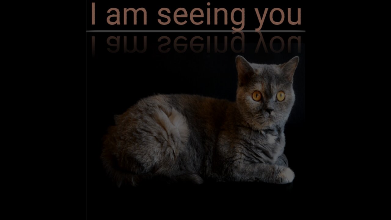I am seeing you