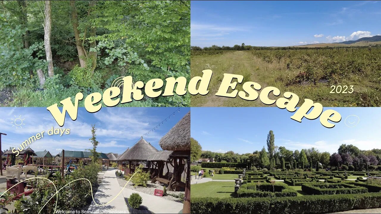 Weekend getaway in Hunedoara County. Berryland & Zoe's Gardens. Day in the life of a web designer