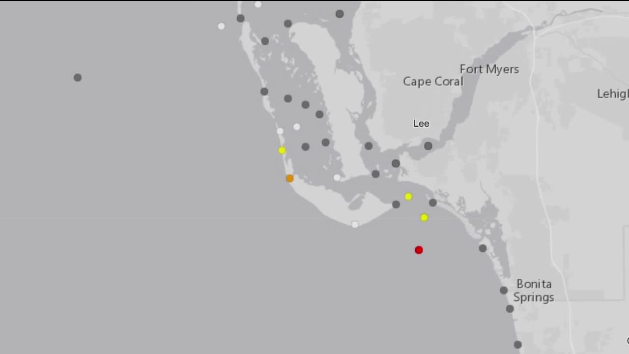 Red Tide is spreading across SWFL coasts, and it's not clear what's causing it