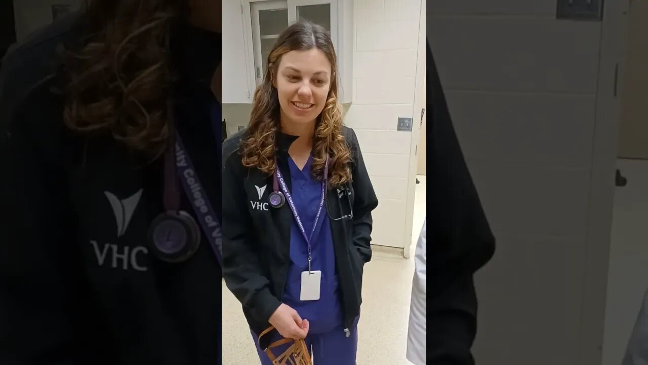 Thanks K State Vets For Helping Higgins!