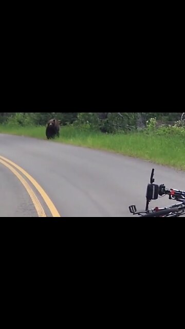 Mountain bikers have scary encounter with a grizzly bear