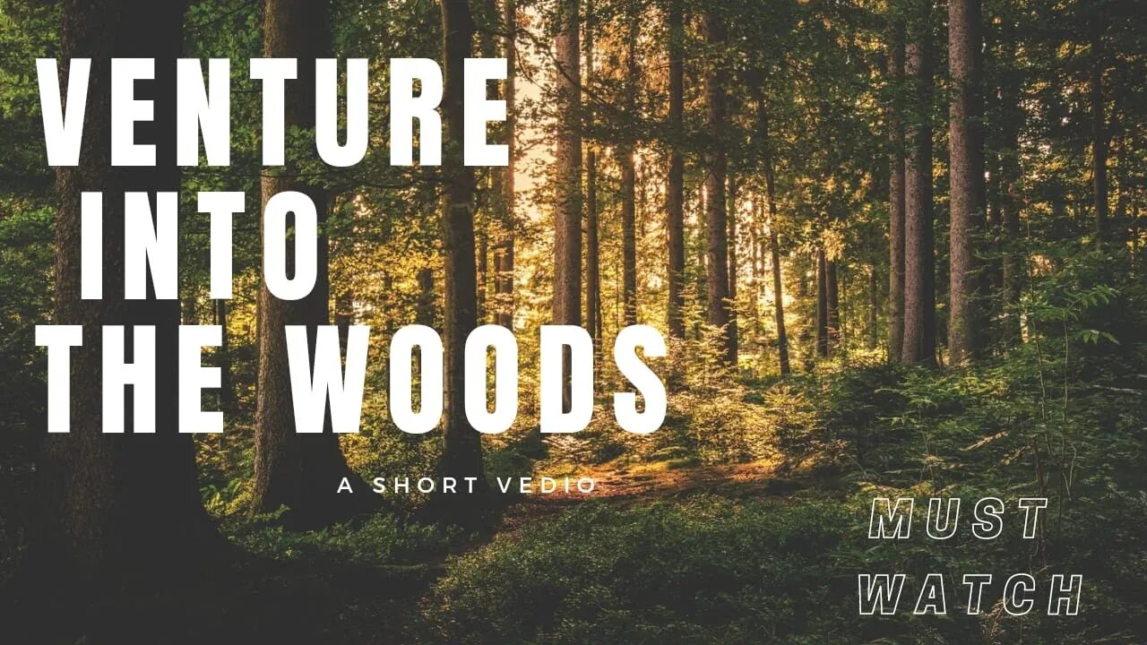 Most fascinating forest vedios. feel the nature.