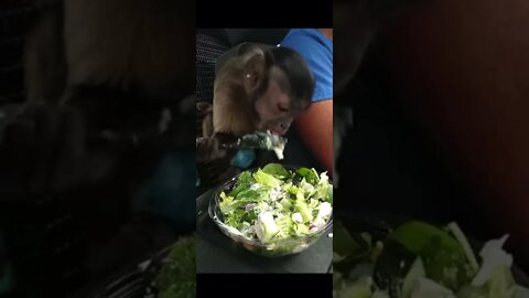 🥗 makes you schrong like King Kong!!! #Shorts
