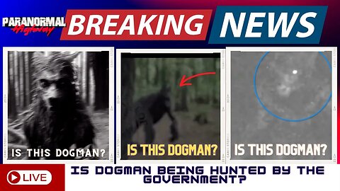 Breaking News: Is Dogman Being Hunted by The Government?