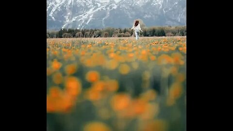 Nature will provide healing. #shorts #outdoors #nature