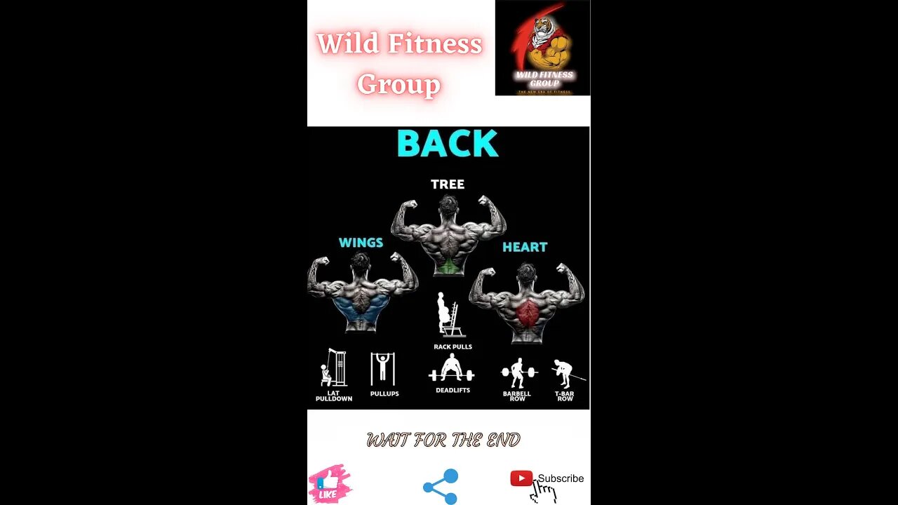 🔥Back: tree v/s wings v/s heart🔥#shorts🔥#viralshorts🔥#fitnessshorts🔥#wildfitnessgroup🔥