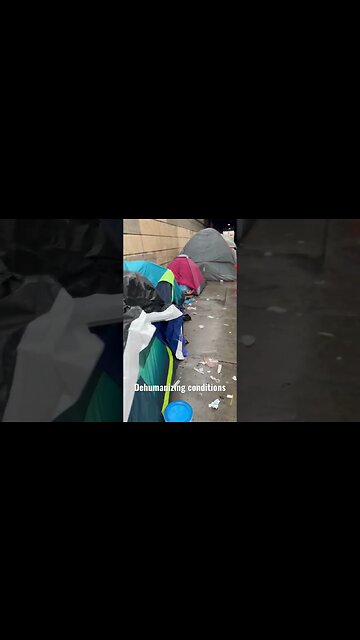 Dehumanizing conditions