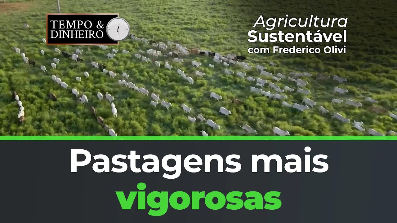 Riza sementes, Pastagens mais vigorosas