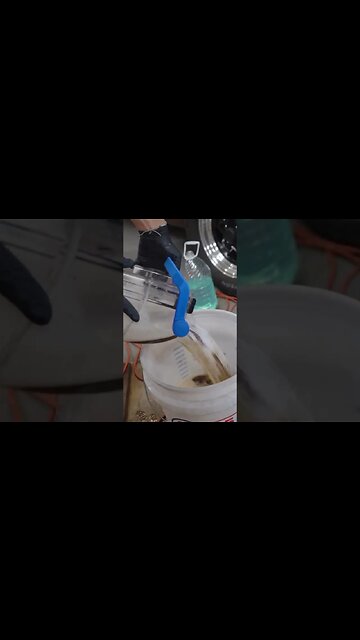 M54 Swapped E39 DEEP CLEAN | 20 Years of Filth #cars #detailing #cardetailing