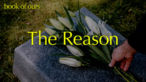 The Reason