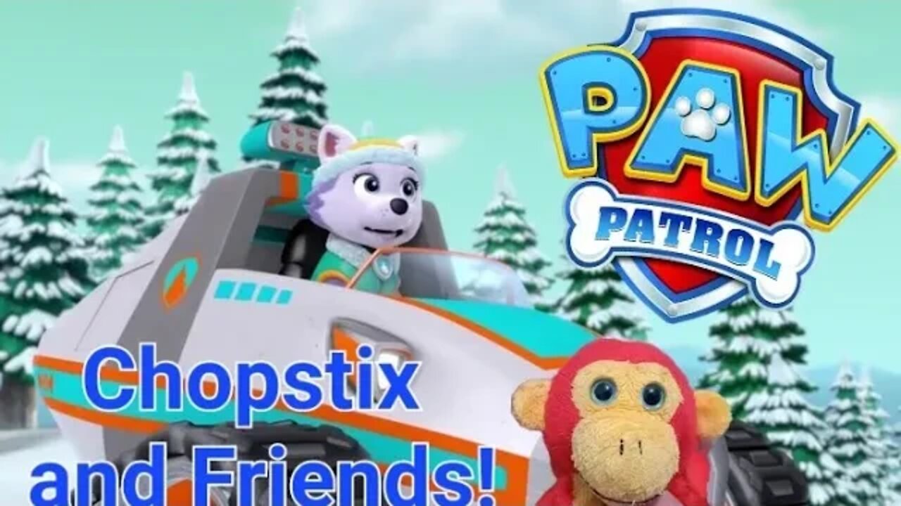 Chopstix and Friends! PAW Patrol: rescue world part 9! #chopstixandfriends #pawpatrol paw