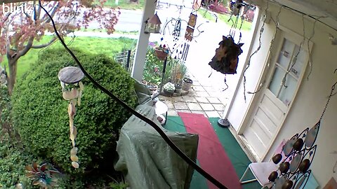 2_WEST_FLOODLIGHT_VIDEO_CAM_2023-04-07T15_23_28-0400.mp4