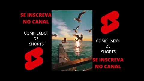 COMPILADO SHORTS (DIVERSOS 9 )