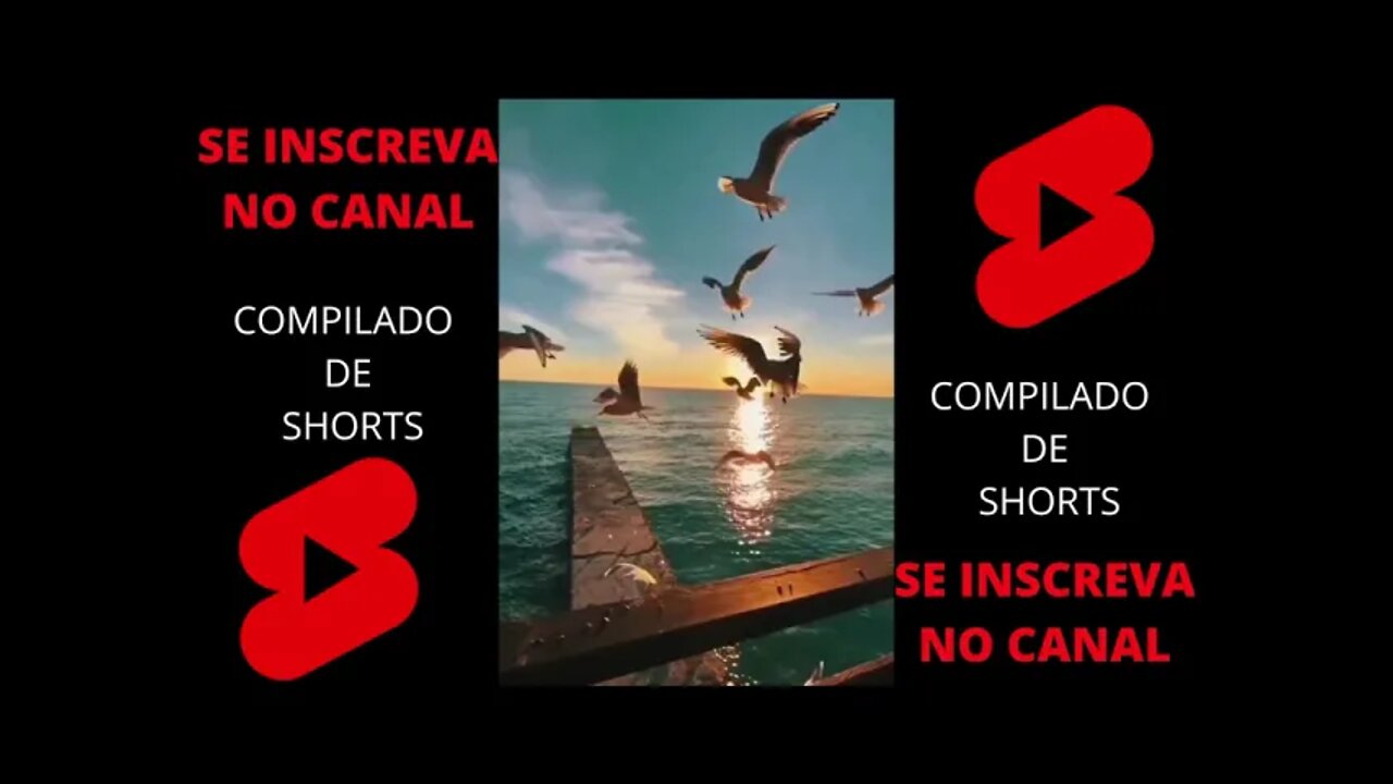 COMPILADO SHORTS (DIVERSOS 9 )