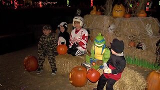 Here are the top Halloween celebrations in metro Detroit