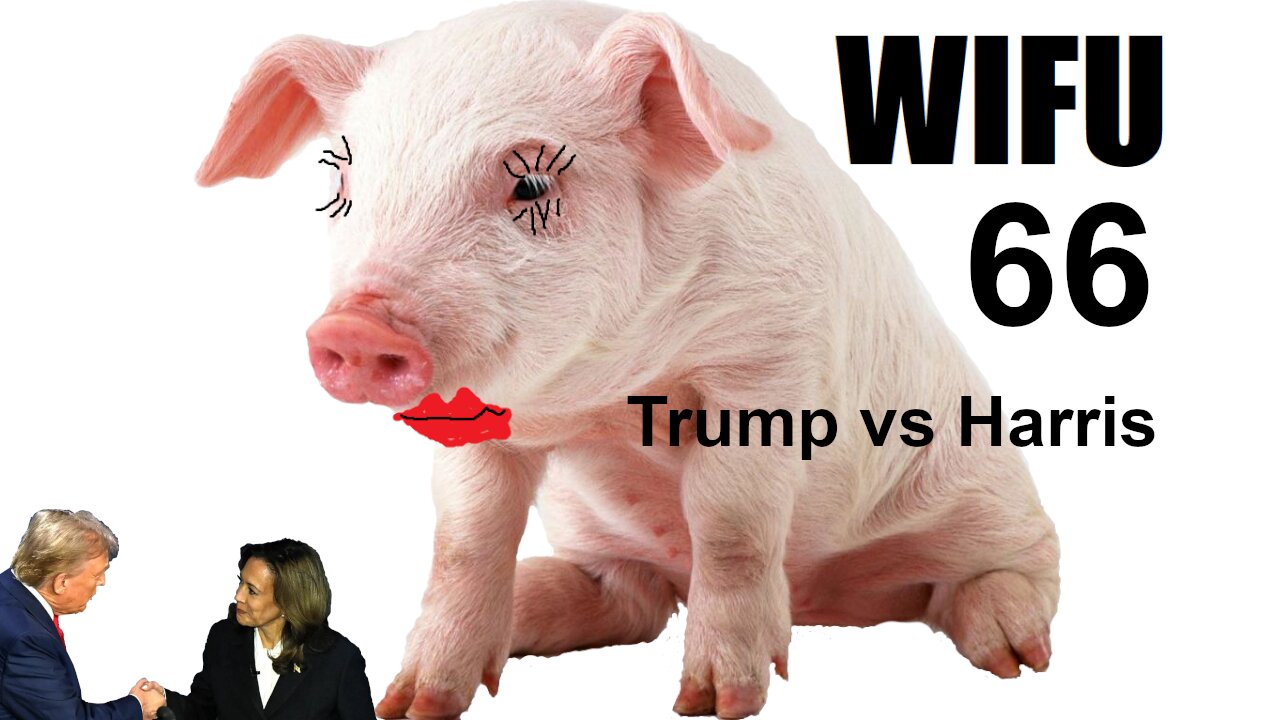 The Wifu Show 066 -- Trump vs Harris