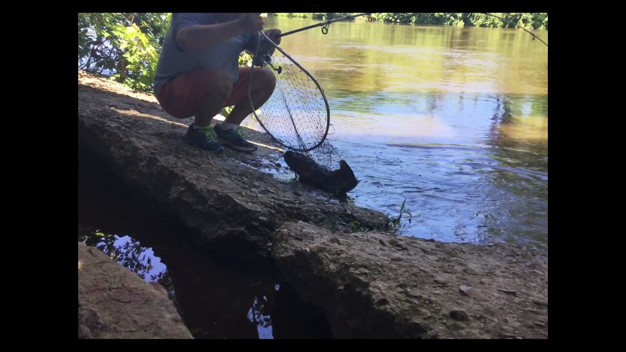 Milwaukee River Fishing at Milwaukee River Parkway Nearby Lincoln Park 密尔沃基河钓鱼