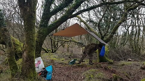 Taking he Guy ropes off the DD hammocks 3x3 tarp. Reddacleave campsite. Dartmoor 26th March 2023