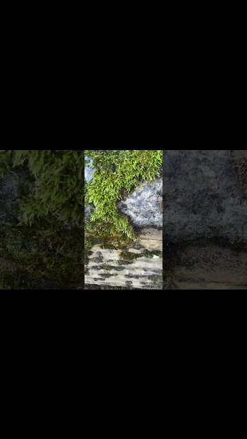 A gay Vodafone store worker has won £30,000 in compensation