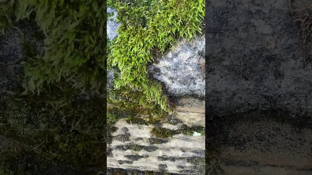 A gay Vodafone store worker has won £30,000 in compensation