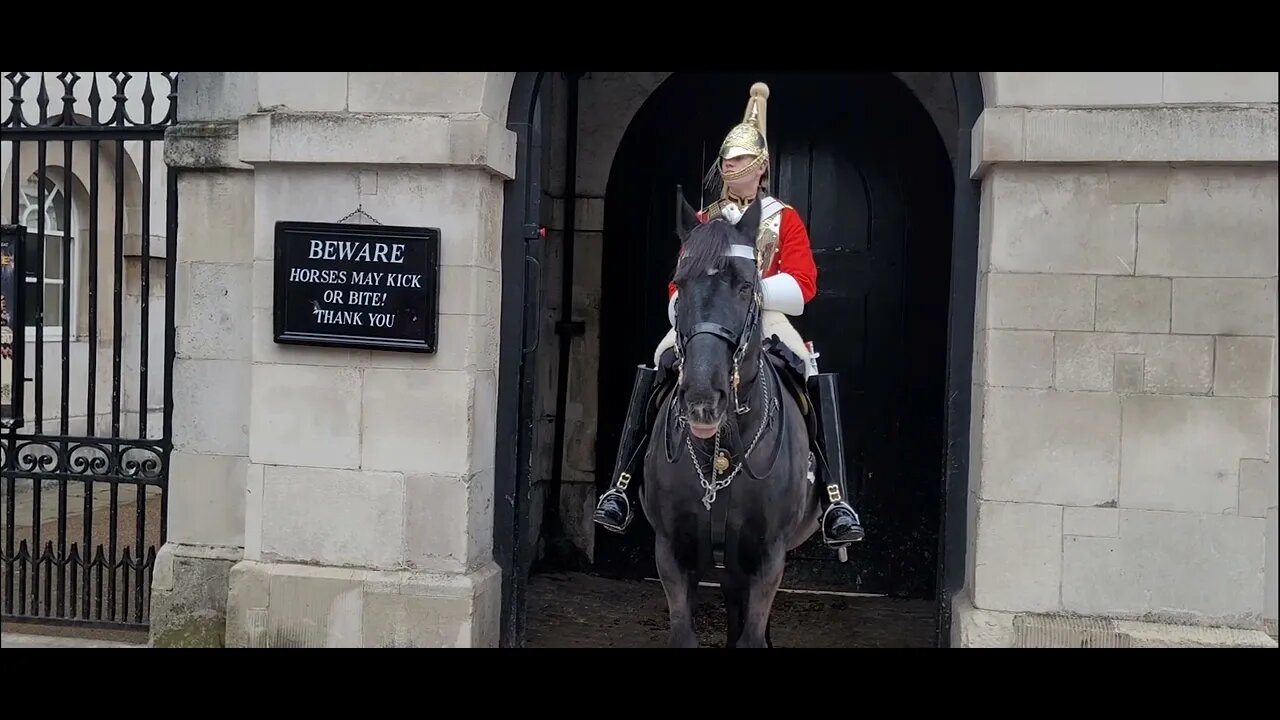 He wanted 5 seconds of fame #horseguardsparade