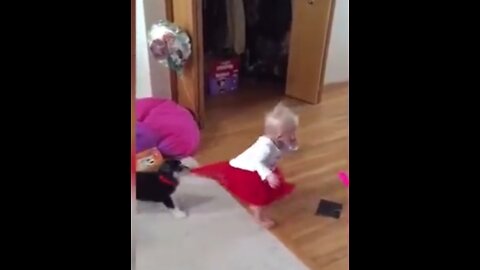 funny dog 👻👻and cute baby 👴👴Compilation